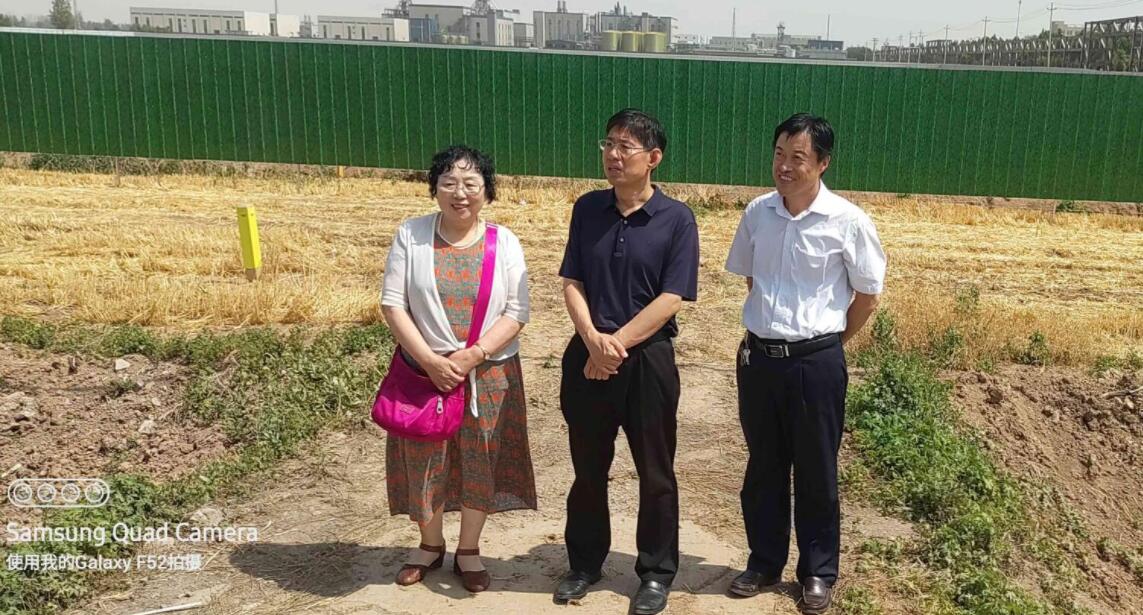 副县长1.jpg